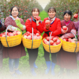 看图学习·丰收节丨让乡亲们增收致富 总书记这样谋划