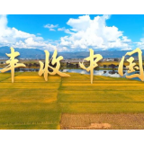 微视频｜丰收中国