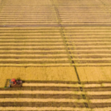 太空看丰收！神州粮仓“丰”景如画