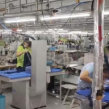 前八个月646.3亿元稳岗资金直达市场主体