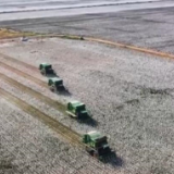 在希望的田野上 | 新疆玛纳斯县78万亩棉花陆续开始采收