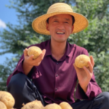 丰收季丨李聚东和他的3.0版马铃薯