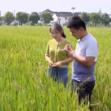 奋斗者正青春丨朱赟德：推广农业科技 精耕大国良田