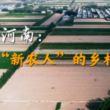 喜迎二十大｜河南：“新农人”的乡村振兴梦