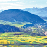 青海推动共建青藏高原国家公园群—— 高标准建设 高质量保护（美丽中国·国家公园设立一年来①）