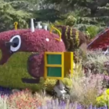 一问到底丨国庆花卉景观是如何打造的？