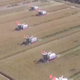 在希望的田野上丨全国秋收有序推进 粮稳物丰硕果累累