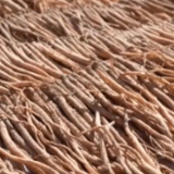 五彩之秋好“丰”景 地理标志农产品喜获丰收