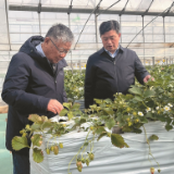 牢记总书记重要嘱托!江苏建设“三个体系”,持续增收富民