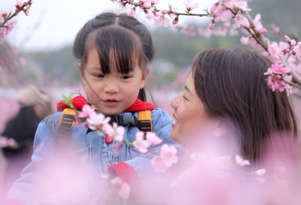 春天的故事丨春游衡东，你手机里一定有桃花的美照吧！