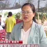 我从基层来丨全国政协委员黄丽萍：扎根农村 助力乡村振兴
