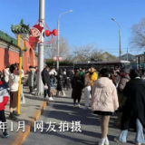 这一个半月，鼓楼可忙了