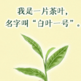 手绘动图丨一片“叶子”的奇妙旅程