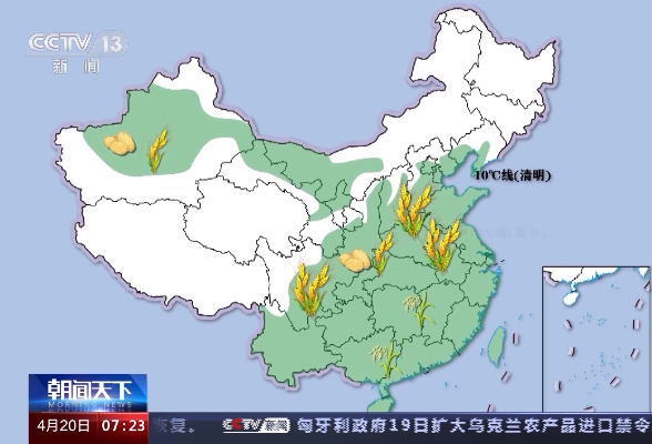 全国已春播粮食面积超1.6亿亩 进度近两成