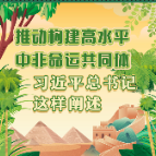 学习进行时丨推动构建高水平中非命运共同体，习近平总书记这样阐述