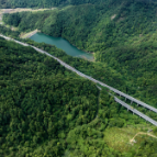 在“浦江经验”发源地探寻实践价值