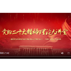 党的二十大精神理论大讲堂 短视频：坚定不移贯彻总体国家安全观