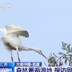 听！看！一起感受祖国自然和谐的生态画卷→