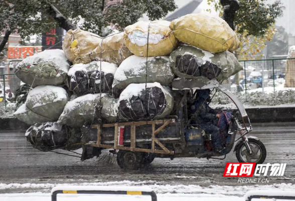 组图|风雪赶路人 风雪中的坚守