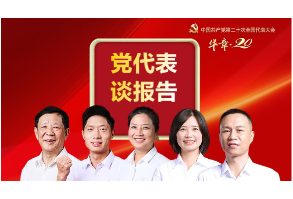 海报丨党代表谈报告：“中国式现代化” 这样看这样干
