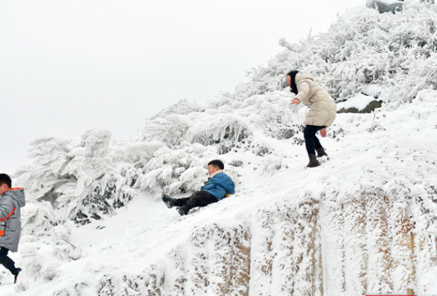 组图丨山林间银装素裹 紫云峰成天然滑雪场