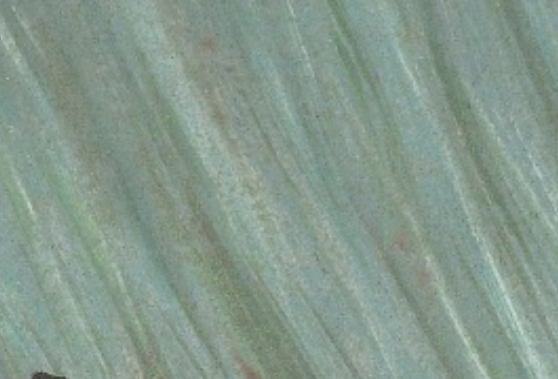 浏阳印刷包装“小巨人”企业远大包装丨深耕两大产业链 逆势画出“上扬曲线”