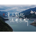凉山鹤起，绿电东输