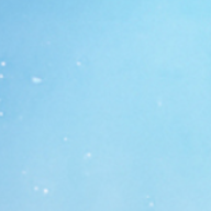 中共中央国务院举行春节团拜会 习近平发表讲话