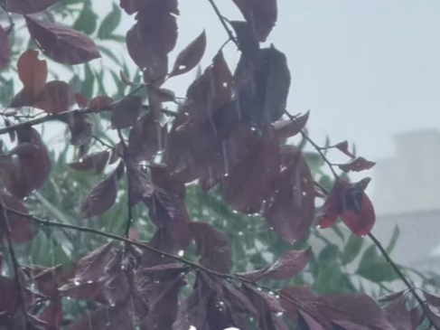 湖南较强降雨持续，湘西局地大暴雨，雷雨时局地阵风7～9级