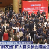 新高、扩大、升级……透过关键词看外企坚定投资中国