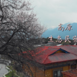 高原“春”来｜生态民宿“致富经”