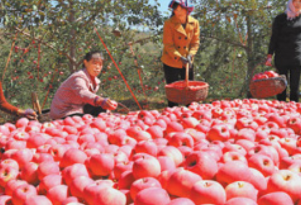 脱贫地区与其他地区差距持续缩小(经济新方位·不掉队赶上来)