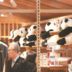 大阪世博会中国馆——  以科技为笔，绘绿色发展图景