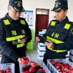 新疆外贸缘何逆势上扬