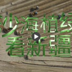 新疆：扩边植绿正当时