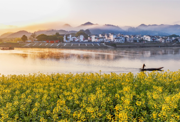 两会世界观察｜生态环境法典彰显中国全球引领作用