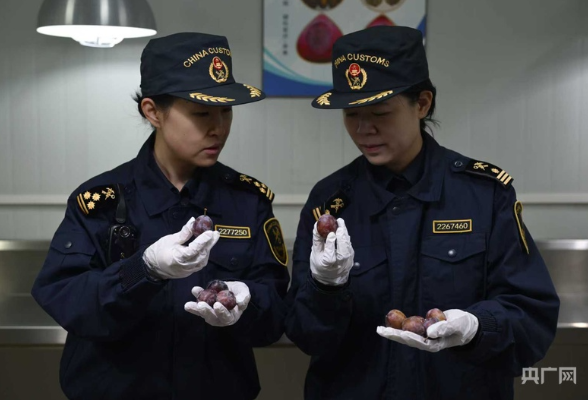 数读中国开局新活力丨同比增长18.3%，彰显外贸“开门红”强劲开局