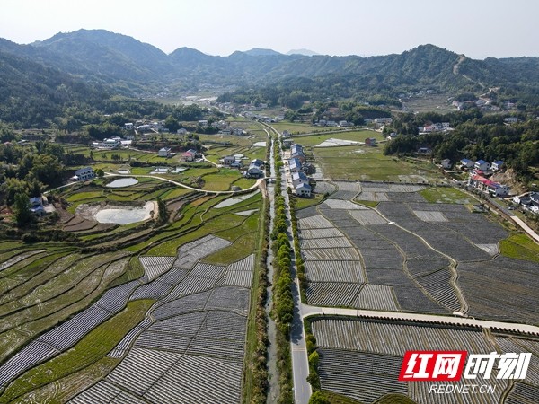 DJI_0549_副本.jpg