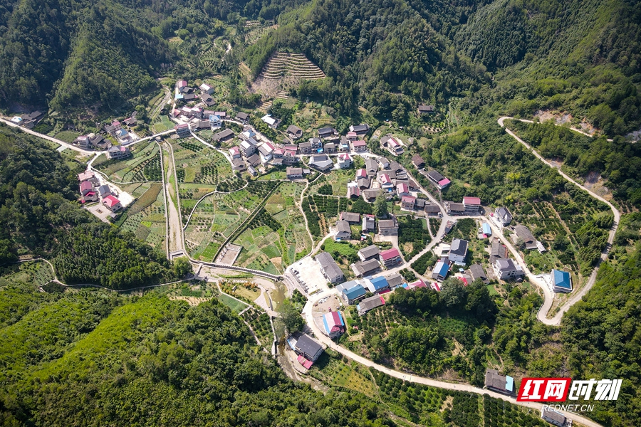 DJI_0907.jpg