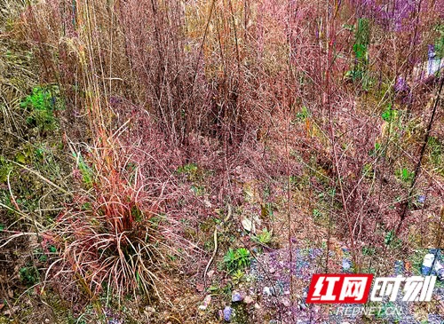 d0bacbbe93cfcaba80b0f2546655eb1_副本_副本.jpg