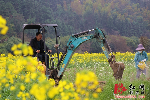 1.农民正在田间劳作。_副本.jpg