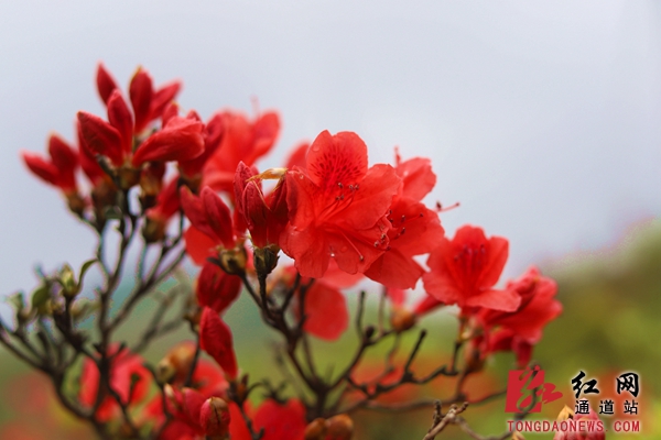 IMG_7230_副本.jpg