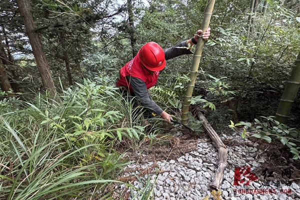 微信图片_20251031093420_46_341.jpg 微信图片_20251031093420_46_341.jpg