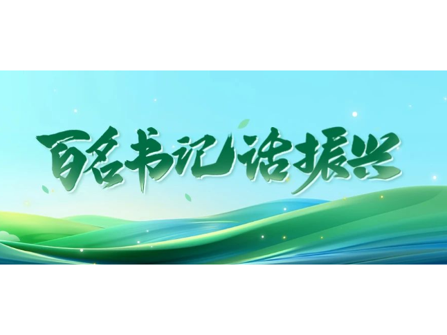 百名书记话振兴涟源篇 | “四基三创”强动能 党建引领绘新卷