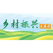 一家好不叫好，大家好才是好——凤巢山片区的“共富答卷”