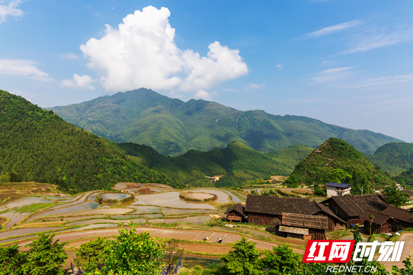 11、塘家梯田静谧、古朴的原生态景象恍如世外桃源，人间仙境，让人心醉神迷。.jpg