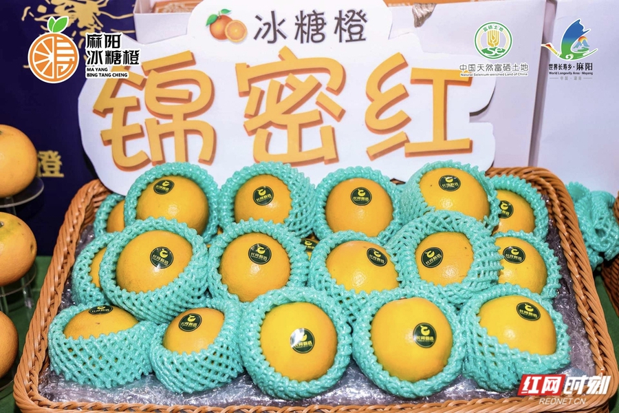 ae2cd3a3129ecd4c1d16de7788dd0feb.jpg ae2cd3a3129ecd4c1d16de7788dd0feb.jpg