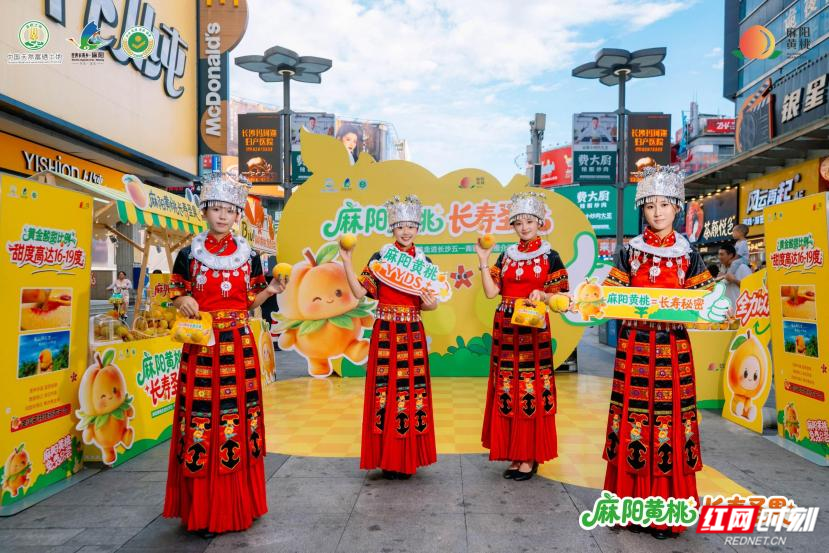 图23333片1.png