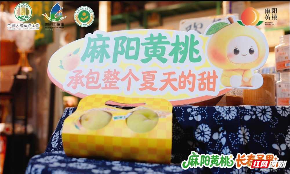 图88片1.png