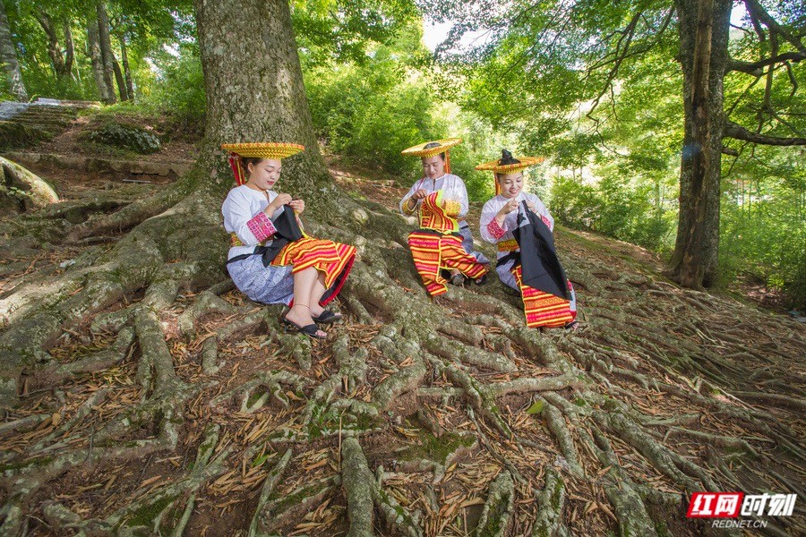 2020年8月13日隆回县虎形山瑶族乡崇木凼村 (43).jpg